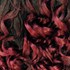 FreeTress Crochet - DEEP TWIST BULK 22