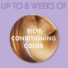 Hazelnut Brown #401 - Fade Resist Jet Black Rich Conditioning Color by Dark & Lovely