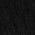 Harlem 125 LACE FRONT KML01